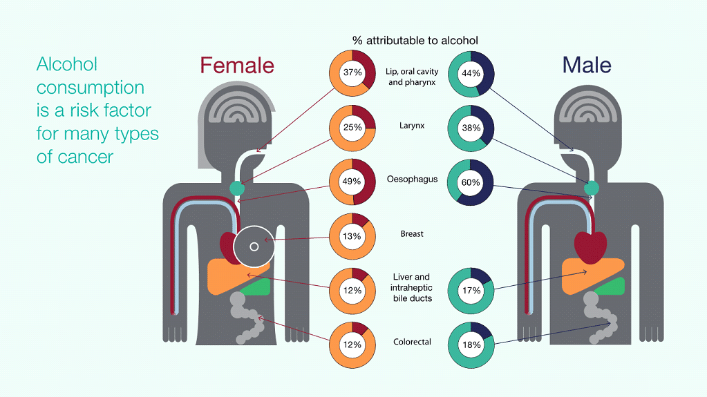 female vs male consumption risk
