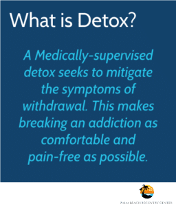 what is detox